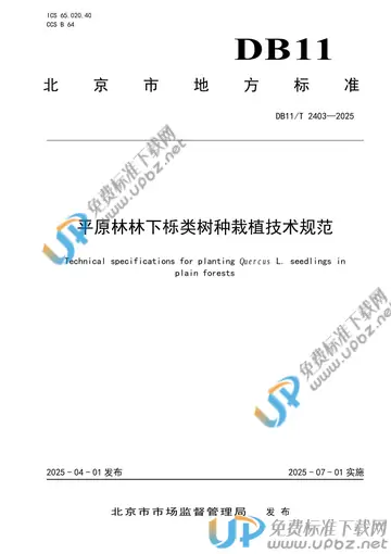DB11/T 2403-2025 免费下载
