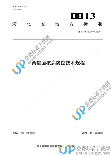 DB13/T 6019-2024 免费下载