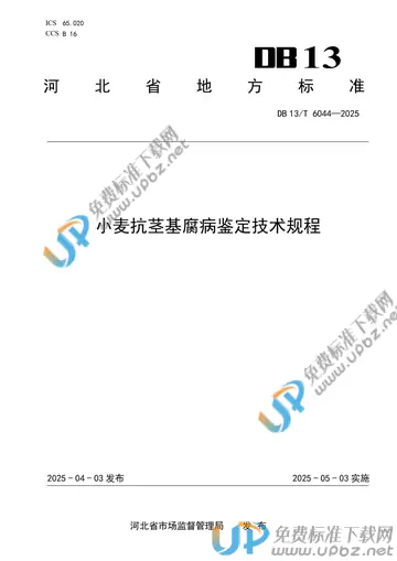 DB13/T 6044-2025 免费下载
