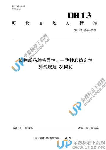 DB13/T 6046-2025 免费下载