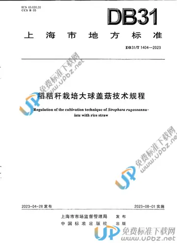 DB31/T 1404-2023 免费下载