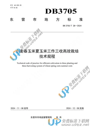 DB 3705/T 28-2024 免费下载