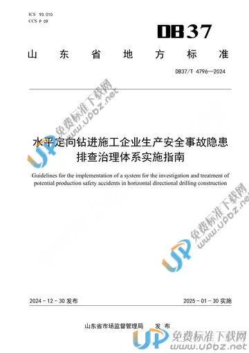 DB37/T 4796-2024 免费下载
