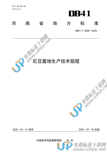 DB41/T 2828-2025 免费下载