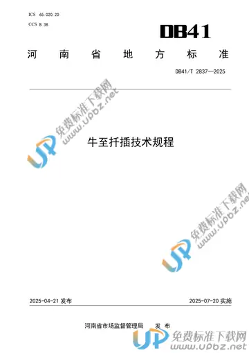 DB41/T 2837-2025 免费下载
