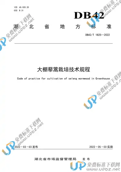 DB42/T1825-2022 免费下载