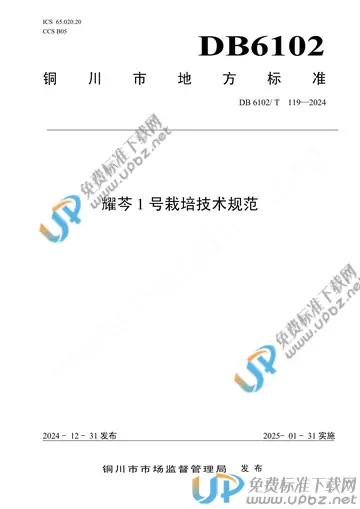 DB 6102/T 119-2024 免费下载