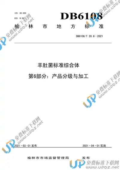 DB6108/T 20.6-2021 免费下载