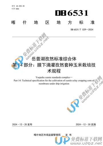 DB6531/T 029-2024 免费下载