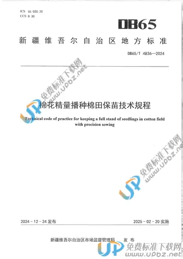 DB65/T 4836-2024 免费下载