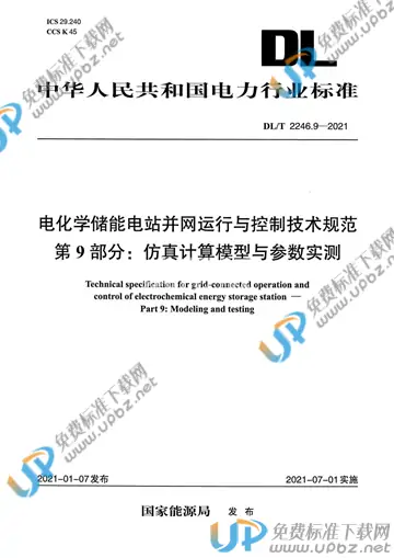 DL/T 2246.9-2021 免费下载