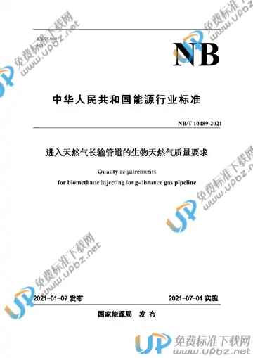 NB/T 10489-2021 免费下载