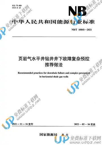 NB/T 10841-2021 免费下载