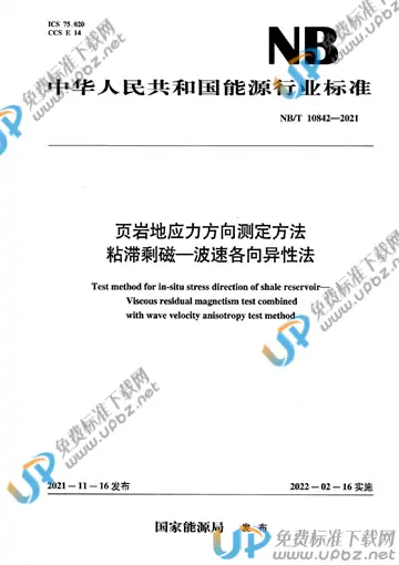 NB/T 10842-2021 免费下载