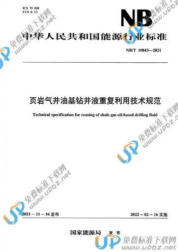 NB/T 10843-2021 免费下载