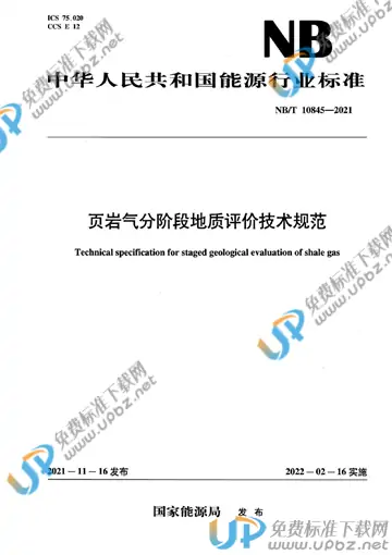 NB/T 10845-2021 免费下载