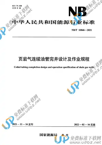 NB/T 10846-2021 免费下载