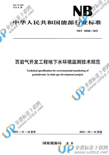 NB/T 10848-2021 免费下载