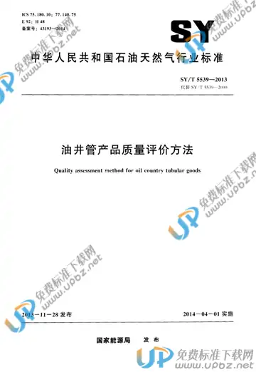 SY/T 5539-2013 免费下载