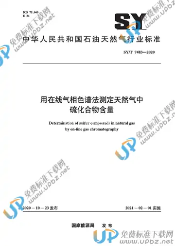 SY/T 7483-2020 免费下载