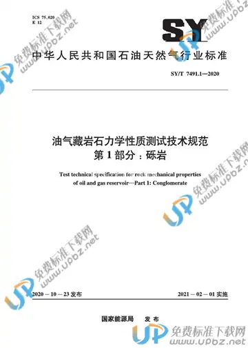 SY/T 7491.1-2020 免费下载