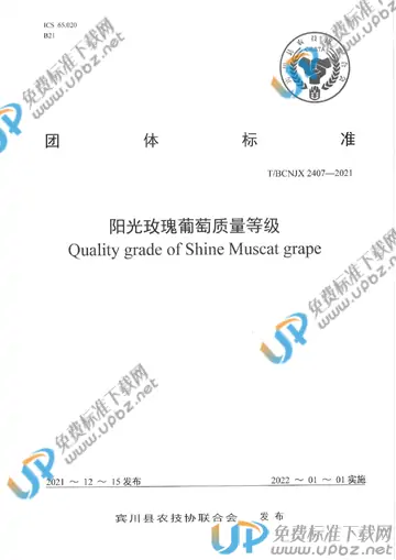 T/BCNJX 2407-2021 免费下载