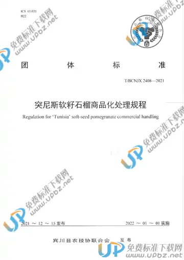 T/BCNJX 2408-2021 免费下载