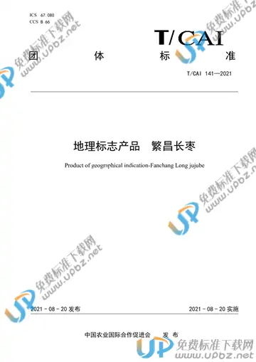T/CAI 141-2021 免费下载