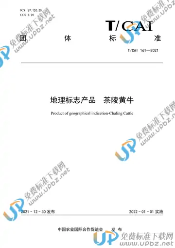 T/CAI 161-2021 免费下载