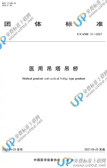 T/CAME 31-2021 免费下载