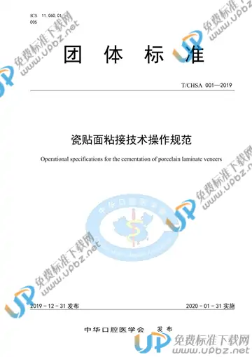 T/CHSA 001-2019 免费下载