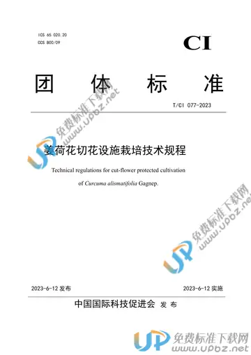 T/CI 077-2023 免费下载