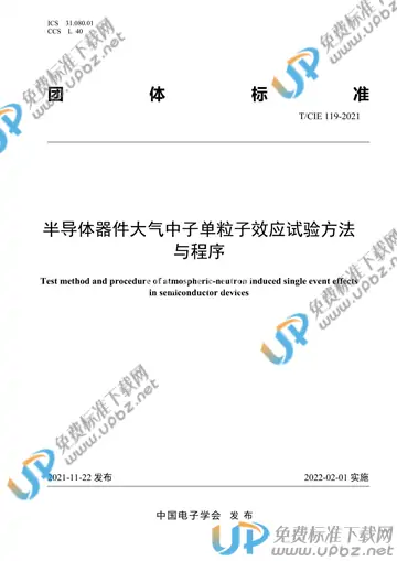 T/CIE 119-2021 免费下载