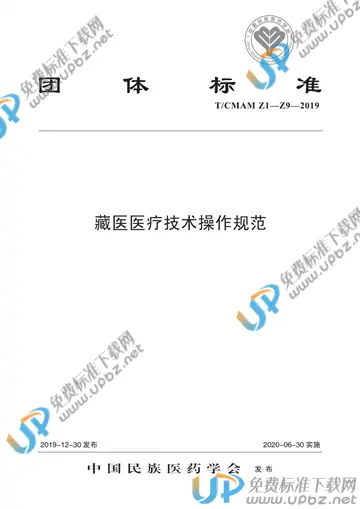 T/CMAM Z1-Z9-2019 免费下载
