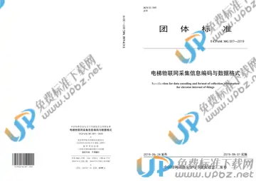 T/CPASE MG007-2019 免费下载