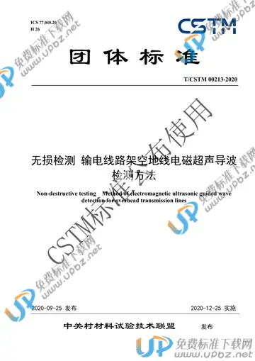 T/CSTM 00213-2020 免费下载