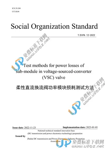 T/DIPA 12-2022 免费下载