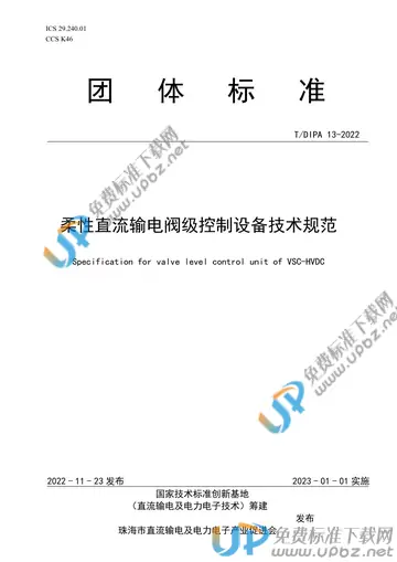 T/DIPA 13-2022 免费下载