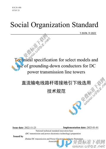 T/DIPA 9-2022 免费下载
