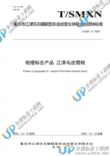 T/SMXN 2-2020 免费下载