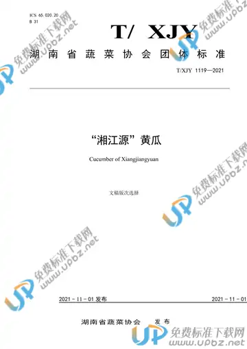 T/XJY 1119-2021 免费下载